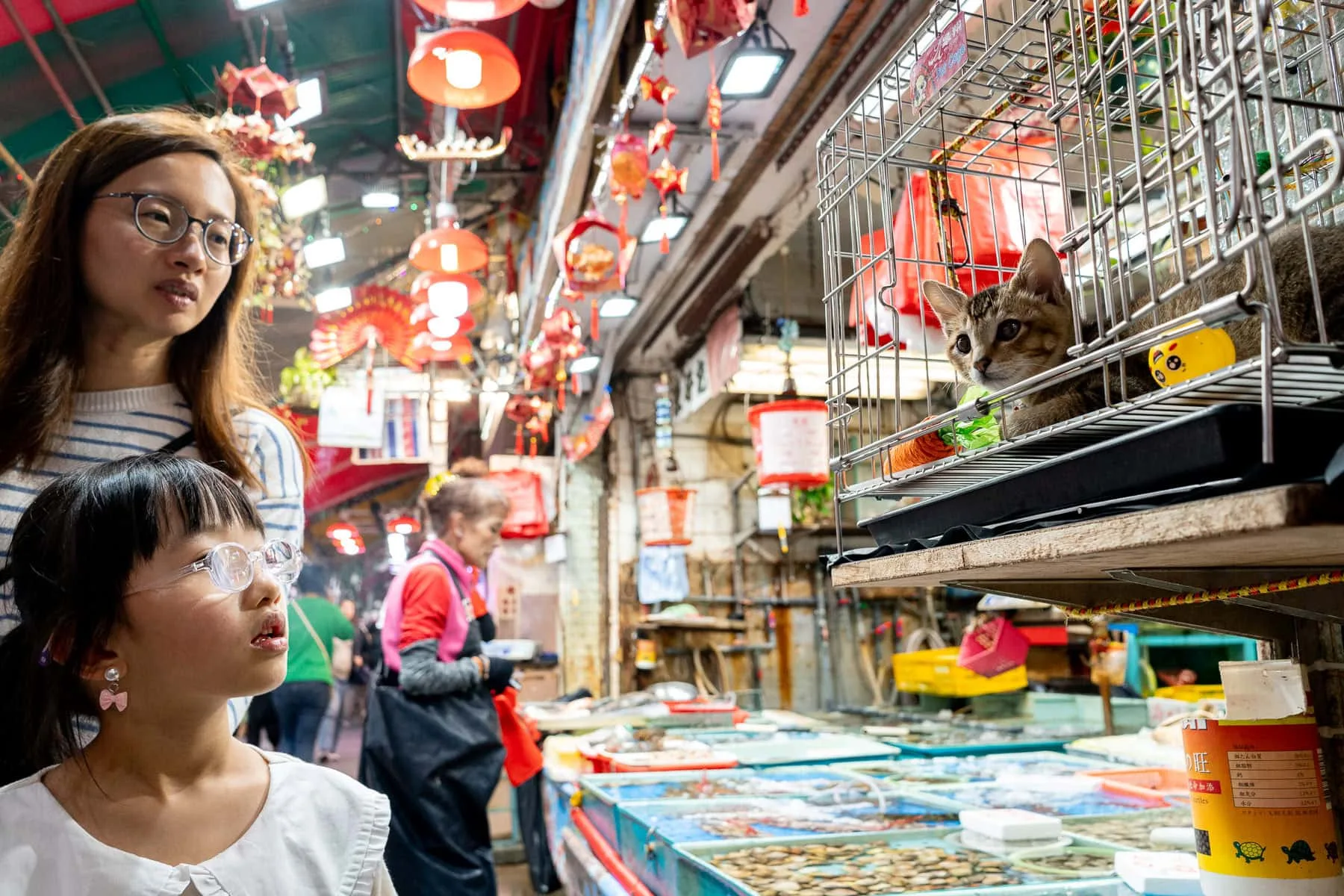 Hong Kong Street Photography